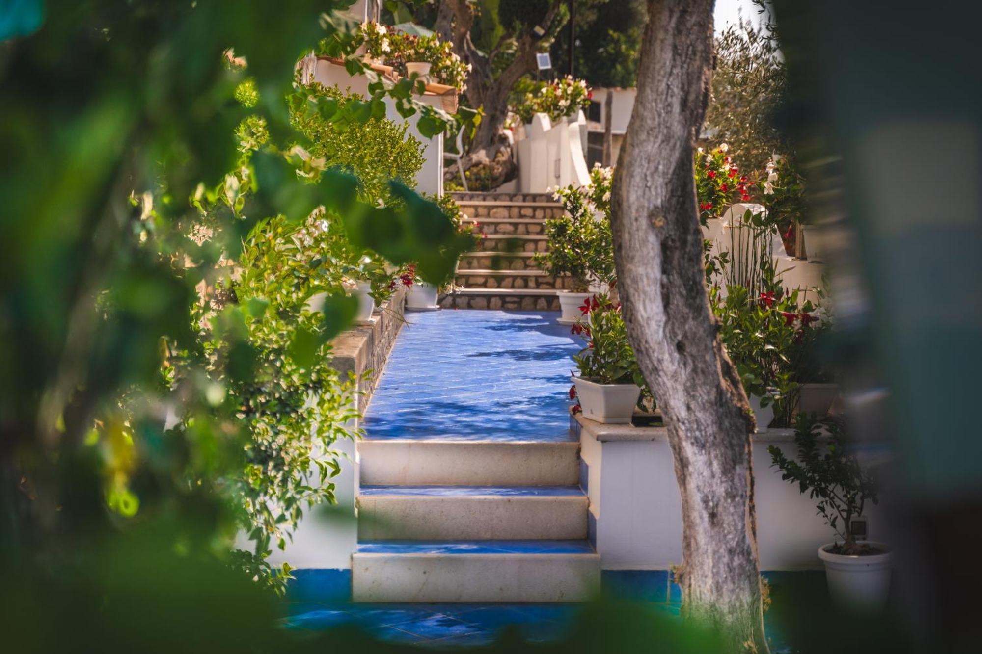 Villa Islamorada Pool And Sea View Massa Lubrense Dış mekan fotoğraf